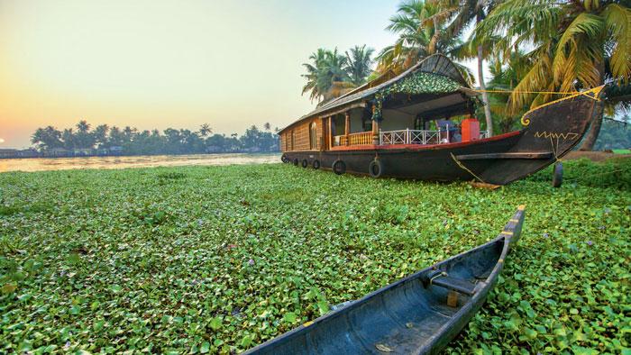 Valiyaparamba near Bekal has one of the most scenic backwaters of Kerala